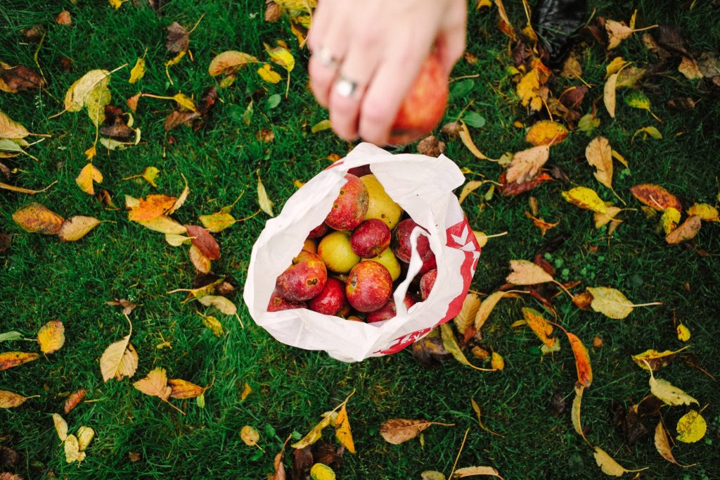 A bag of apples sits on the grass. A hand is reaching out to place another in the bag.