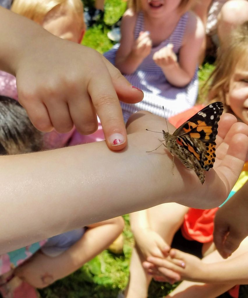 Close up of a child's wrist on which a butterfly has landed