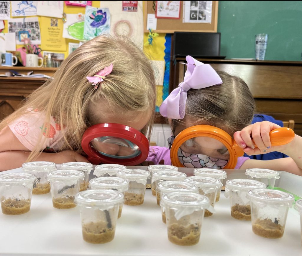 Children's faces are pressed up against magnifying glasses as the investigate small jars on a table